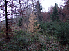 07.11.2010 17:09:49
Hofstätter See
Garchinger Umland
Garchinger.de