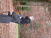 07.11.2010 17:14:55
Hofstätter See
Garchinger Umland
Garchinger.de