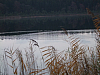 07.11.2010 17:24:40
Hofstätter See
Garchinger Umland
Garchinger.de