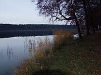 07.11.2010 17:24:03
Hofstätter See
Garchinger Umland
Garchinger.de
