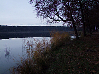 07.11.2010 17:24:08
Hofstätter See
Garchinger Umland
Garchinger.de