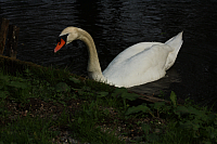 01.05.2013 17:30:19
Oberschleißheim
Garchinger Umland
Garchinger.de