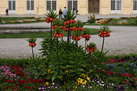 01.05.2013 17:38:48
Oberschleißheim
Garchinger Umland
Garchinger.de