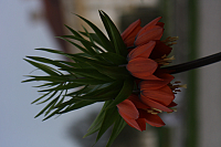 01.05.2013 17:41:12
Oberschleißheim
Garchinger Umland
Garchinger.de