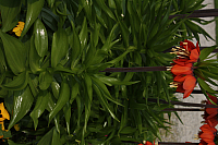 01.05.2013 17:45:16
Oberschleißheim
Garchinger Umland
Garchinger.de