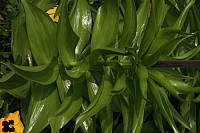 01.05.2013 17:45:49
Oberschleißheim
Garchinger Umland
Garchinger.de