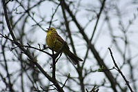01.05.2013 18:53:47
Oberschleißheim
Garchinger Umland
Garchinger.de