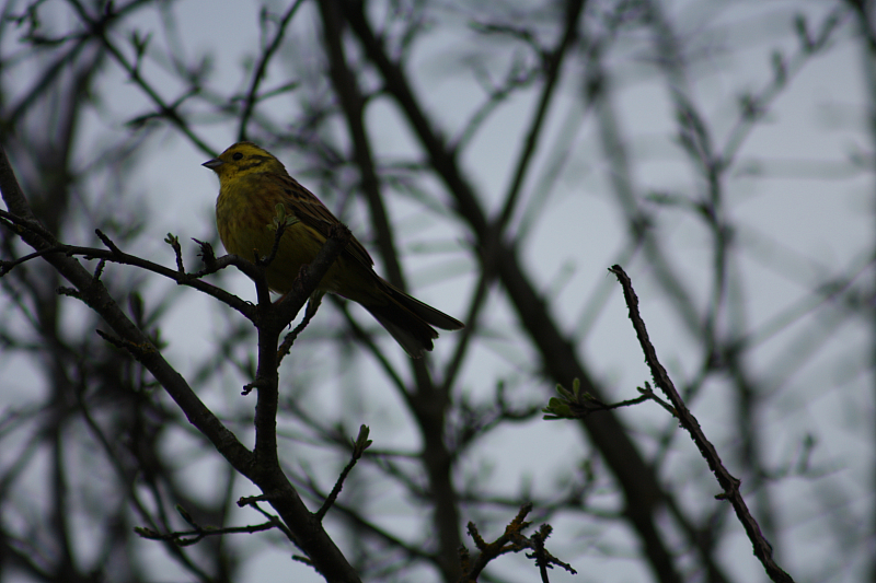 01.05.2013 18:53:46
Oberschleißheim - Garchinger Umland - Garchinger.de