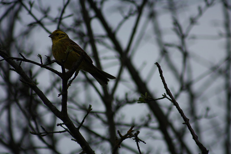 01.05.2013 18:53:46
Oberschleißheim - Garchinger Umland - Garchinger.de
