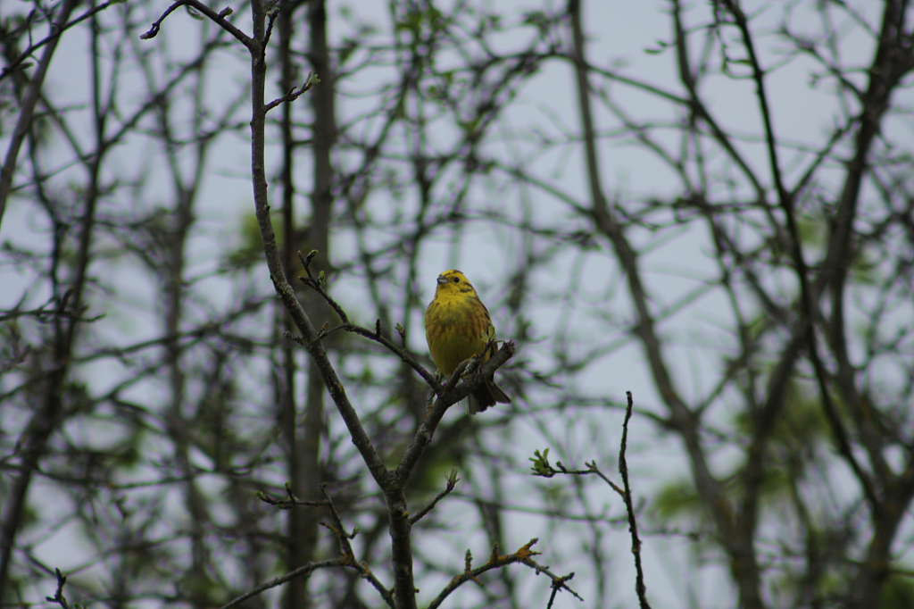 01.05.2013 18:53:33
Oberschleißheim - Garchinger Umland - Garchinger.de
