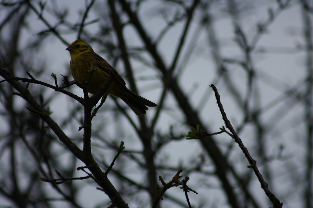 01.05.2013 18:53:46
Oberschleißheim - Garchinger Umland - Garchinger.de